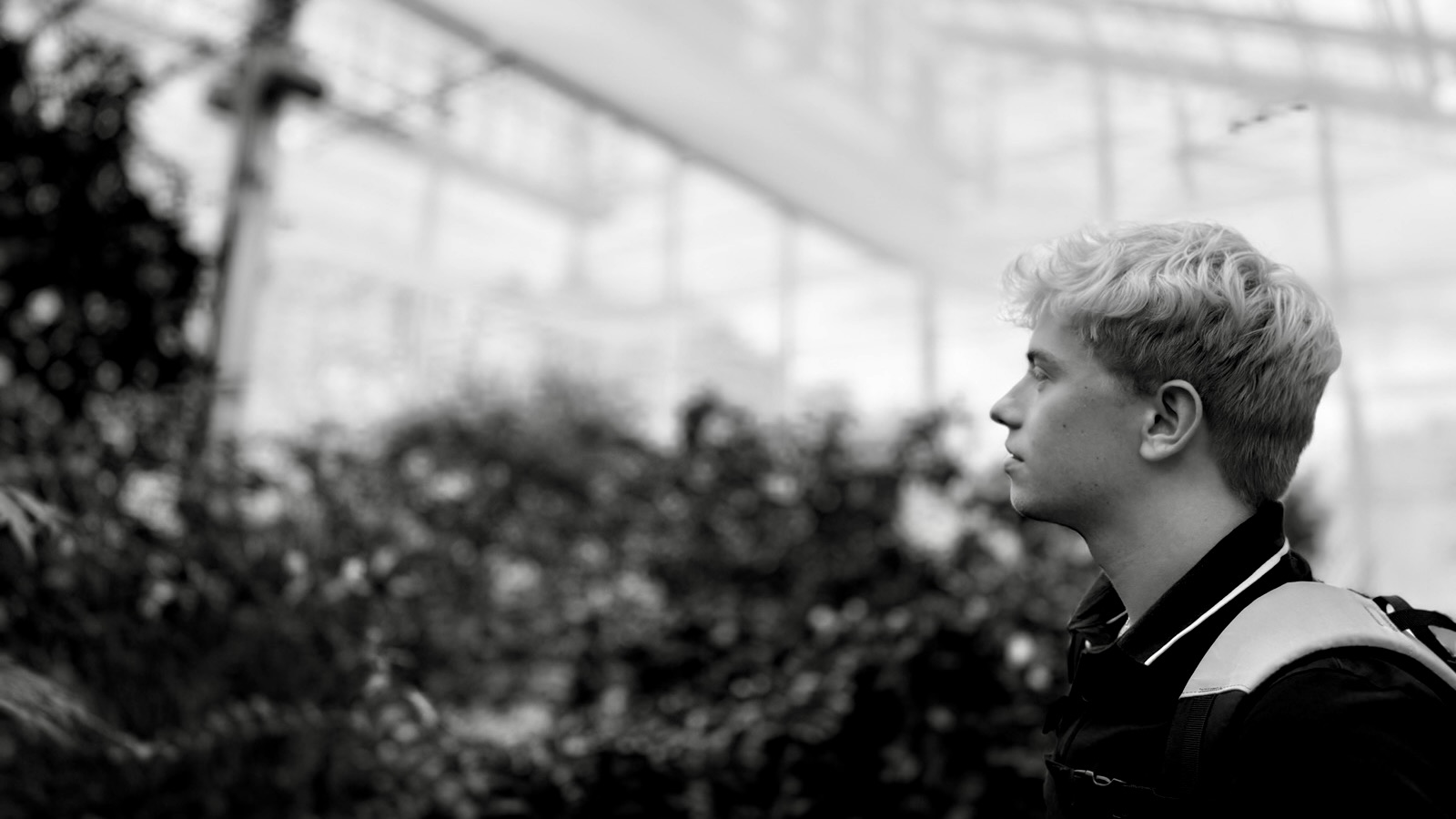 Nicolas Huber